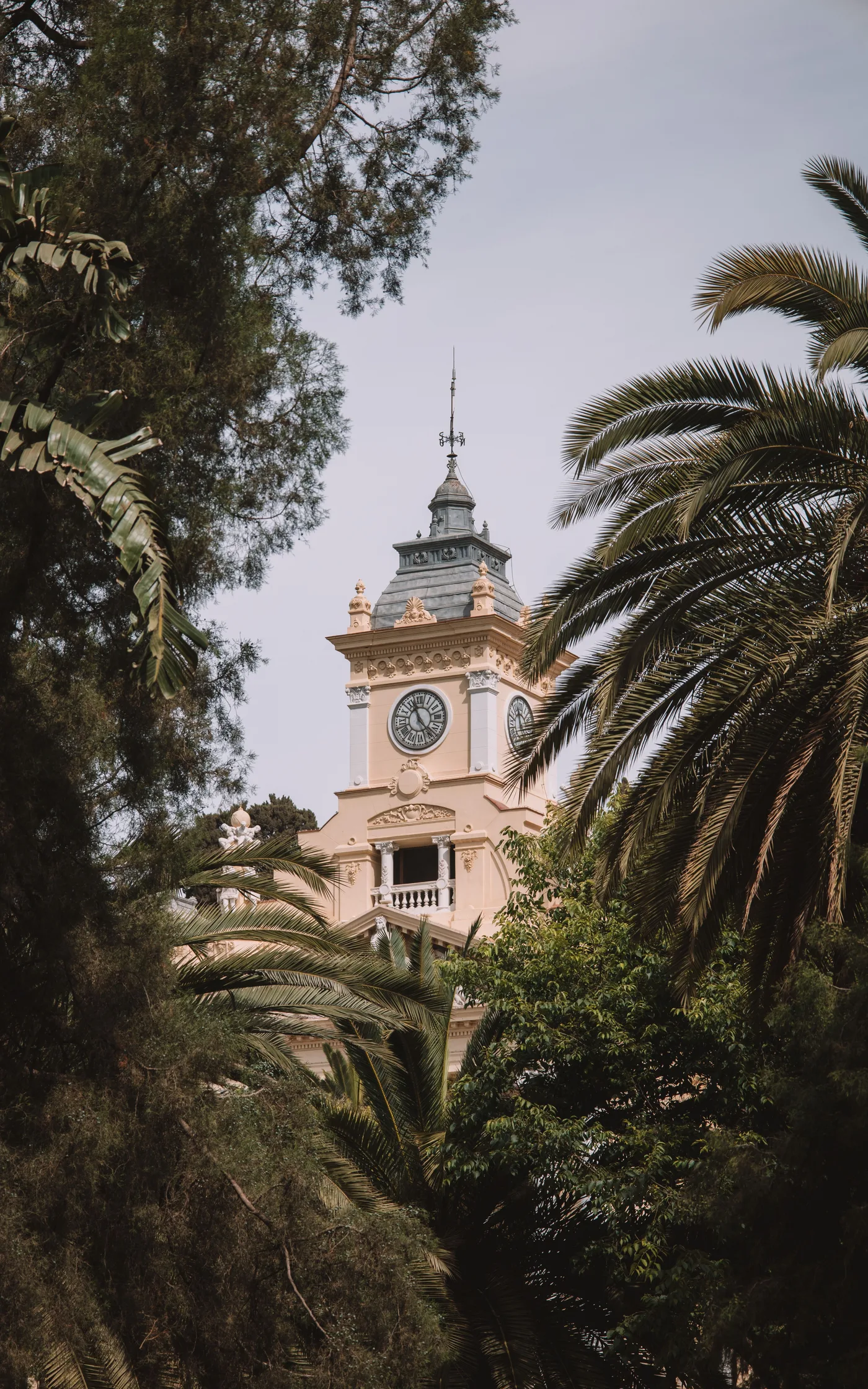 Torre del Ayuntamiento de Málaga entre palmeras